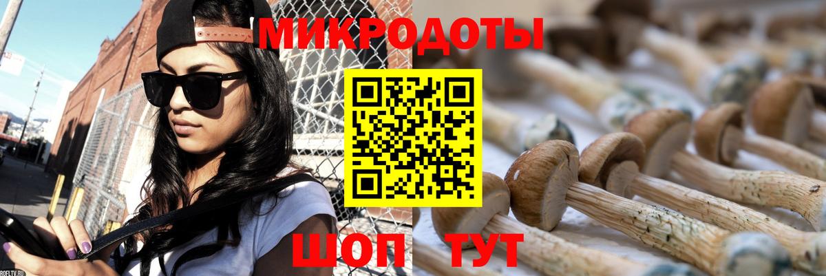 Галлюциногенные грибы Magic Shrooms Новошахтинск